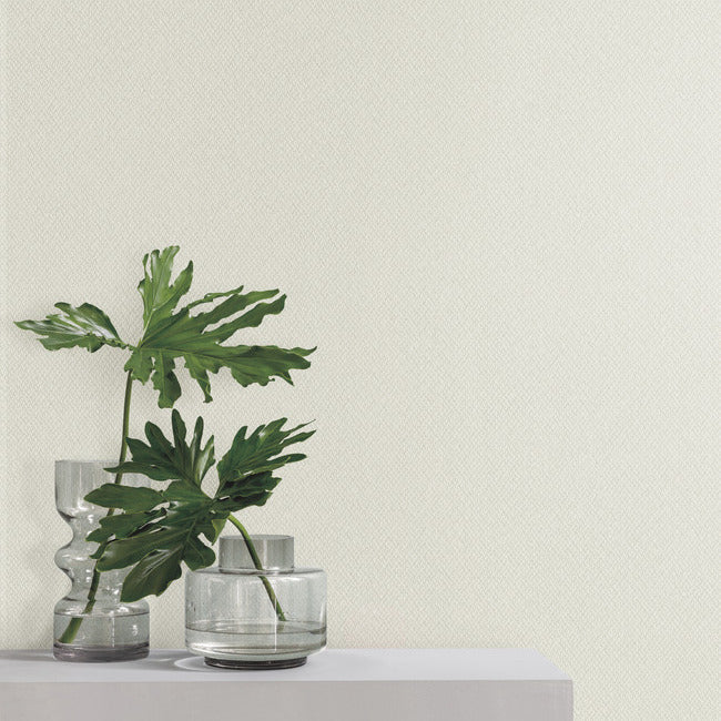 Give & Take High Performance Wallpaper ND3021N