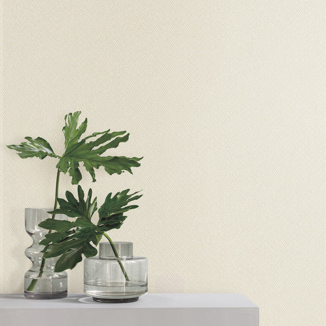 Give & Take High Performance Wallpaper ND3023N