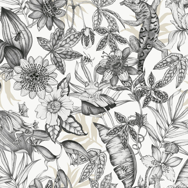 Rainforest Wallpaper BL1703