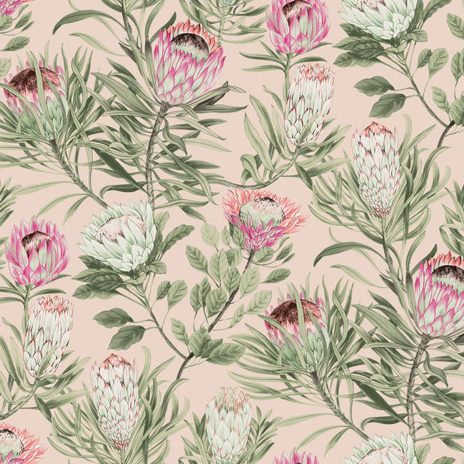 Protea Wallpaper BL1751