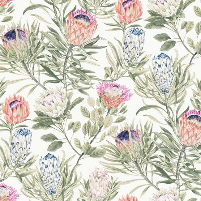 Protea Wallpaper BL1752