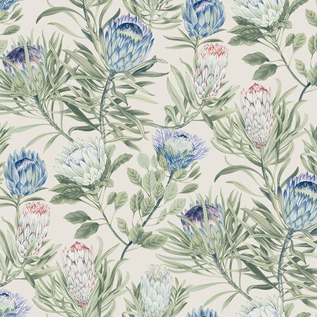 Protea Wallpaper BL1753
