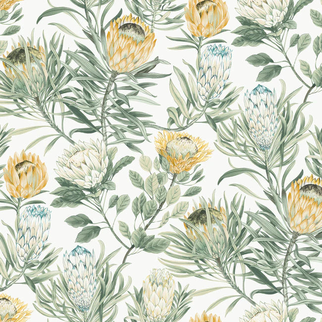 Protea Wallpaper BL1754