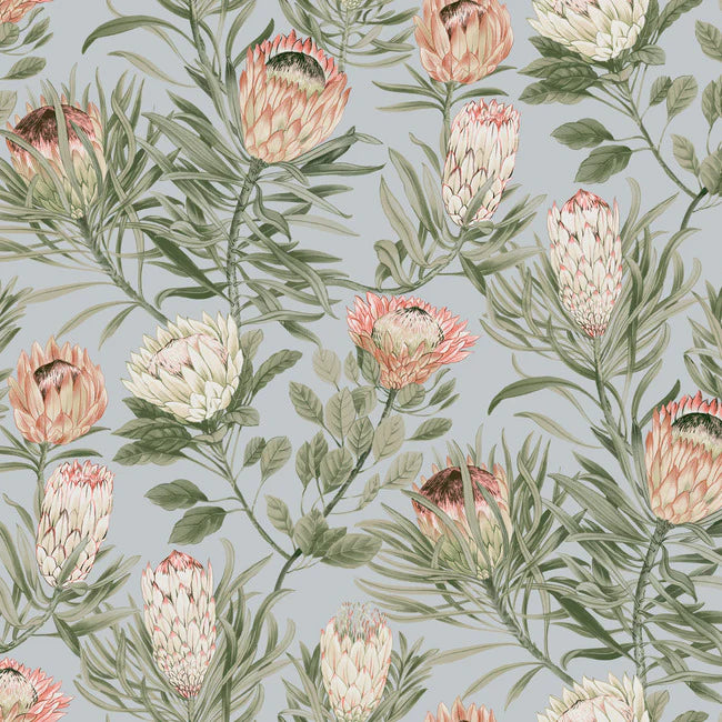 Protea Wallpaper BL1755
