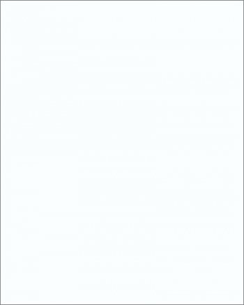TFL Panel Blanc White Matte 703