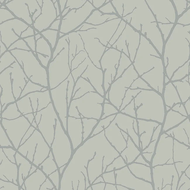 Trees Silhouette Wallpaper MD7124