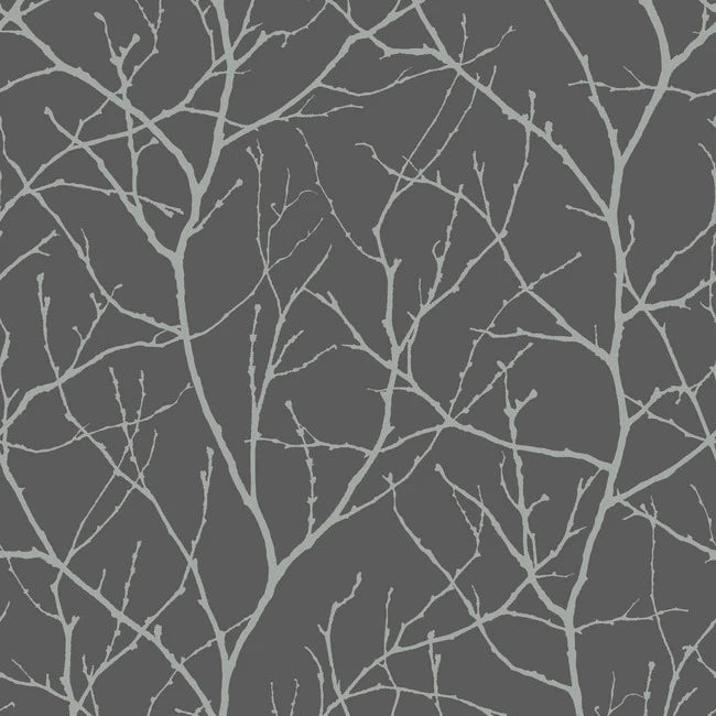 Trees Silhouette Wallpaper MD7125