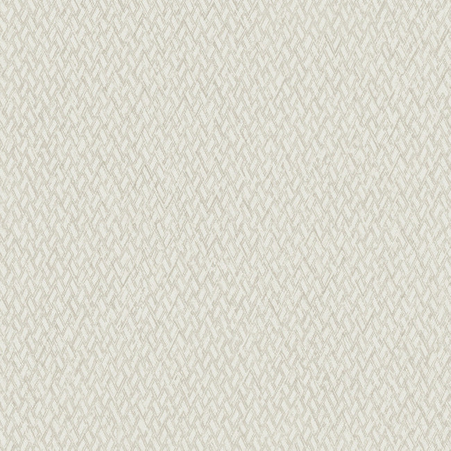 Give & Take High Performance Wallpaper ND3021N