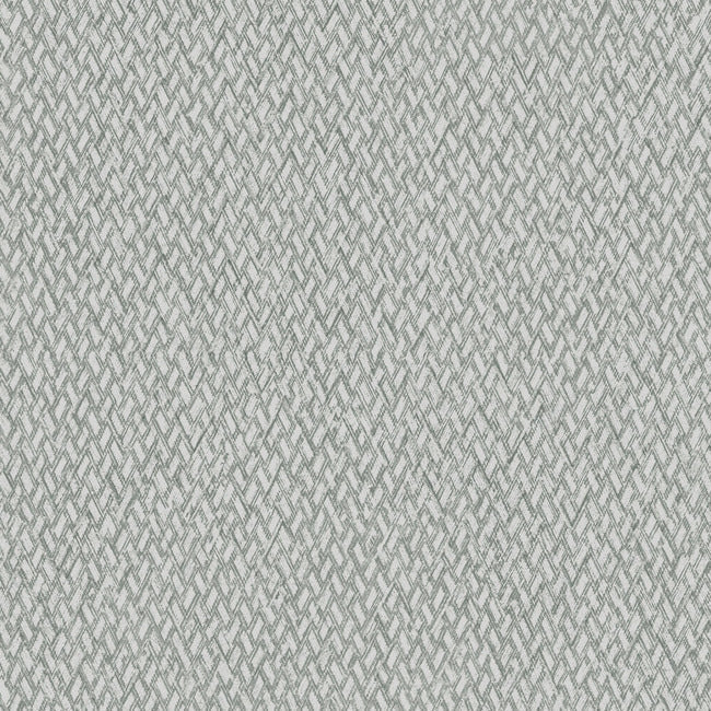 Give & Take High Performance Wallpaper ND3022N
