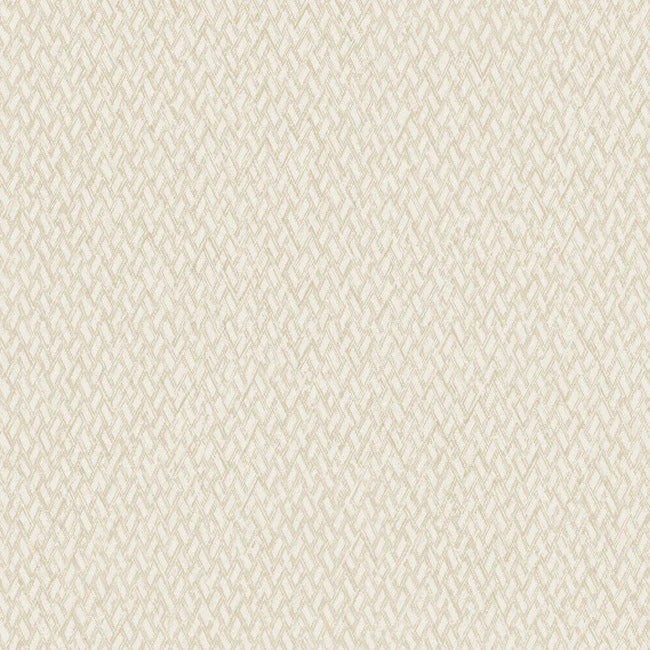 Give & Take High Performance Wallpaper ND3023N
