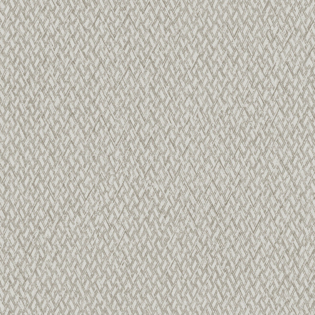 Give & Take High Performance Wallpaper ND3024N