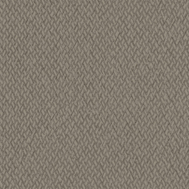 Give & Take High Performance Wallpaper ND3025N