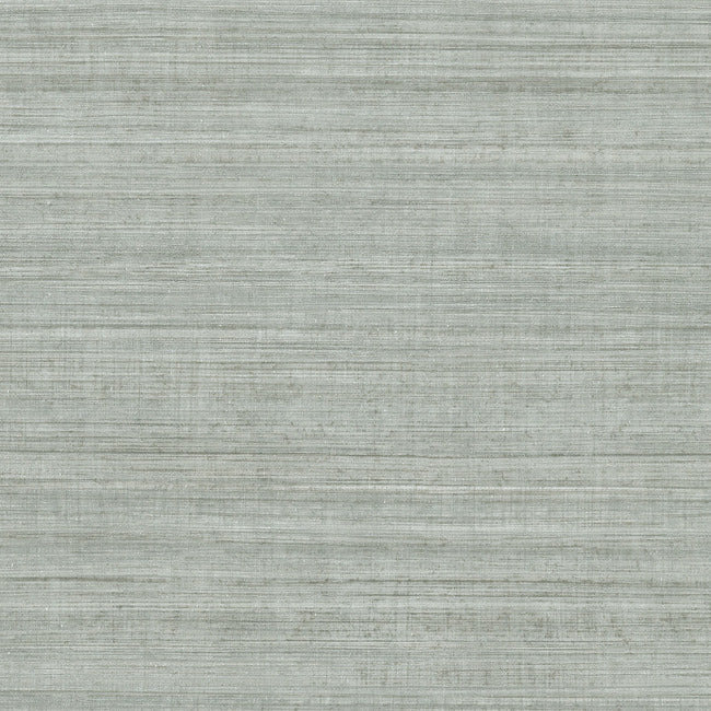 Tasar Silk High Performance Wallpaper ND3073N